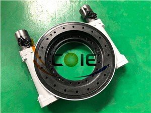 כונן תולעת כפול תולעת